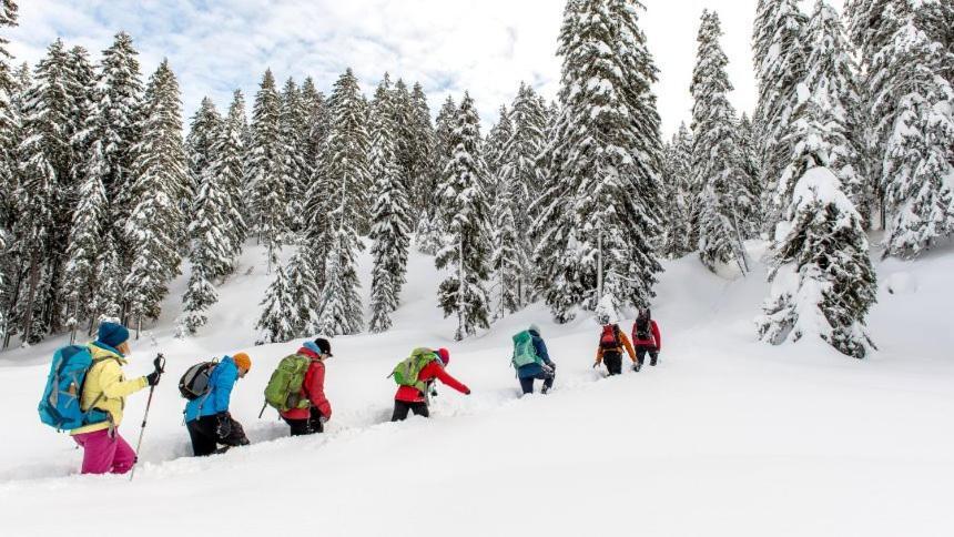 Appartmenthaus Birkenwald Seefeld in Tirol Exterior photo